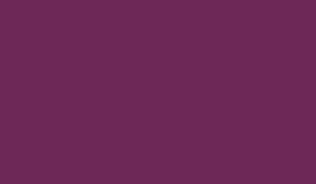 Dark Purple - 0848